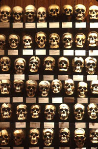 13.MutterMuseum-G.WidmanG.jpg