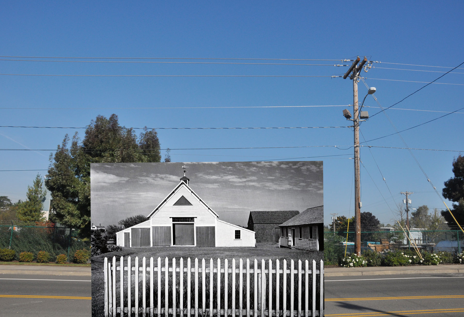 AG-johnson-anseladams.jpg