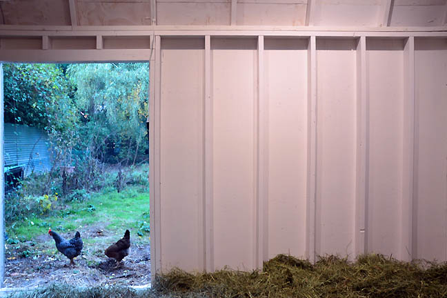 Chicken_coop_contemporary.jpg