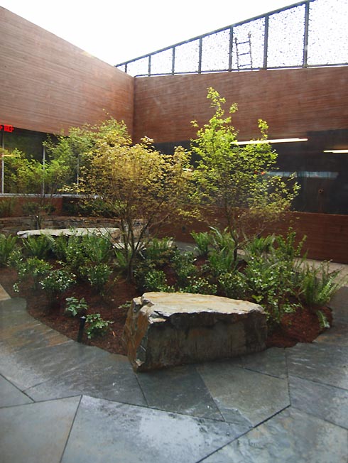 Courtyard_greenery_sm.jpg