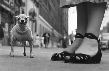 Elliott-Erwitt-NYC.jpg