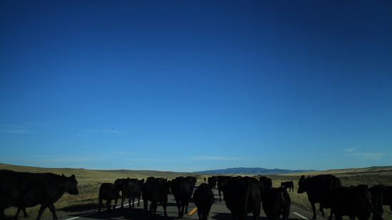 McCormick-GreatNorthwest-videograb2.jpg