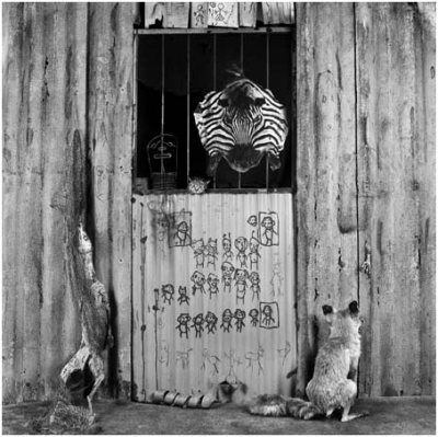 Roger Ballen at QPCA