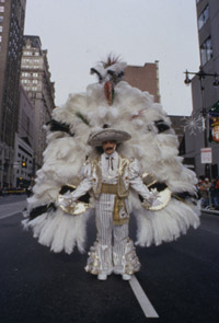 hi_mummers_parade.jpg