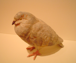 pigeon.jpg